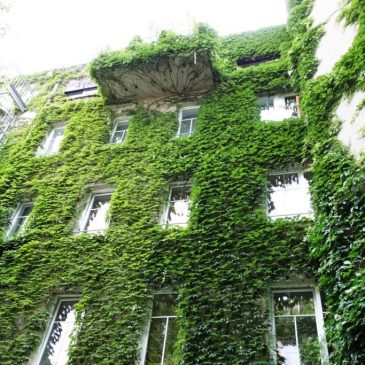 Navštívili jsme – exkurze zelené střechy a stěny (Vídeň)